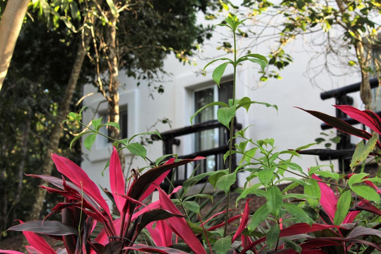 Lunah Xcacel Suites Chemuyil Dış mekan fotoğraf